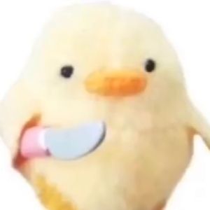 Meet your Posher, Kylie